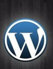 wordpress二次开发快速入门