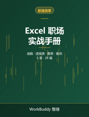 Excel 职场实战手册：函数、透视表与图表