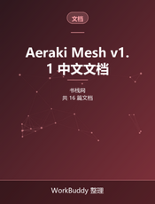 Aeraki Mesh v1.1 中文文档