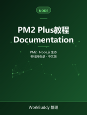 PM2 Plus教程