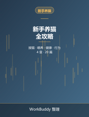 新手养猫全攻略：从接猫到科学养宠避坑指南