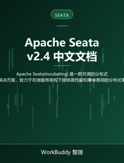 Apache Seata v2.4 中文文档