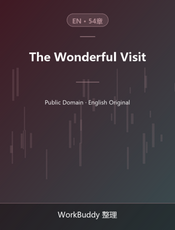 The Wonderful Visit