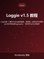 Loggie v1.5 教程