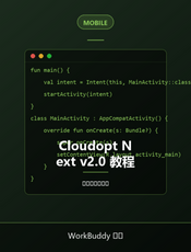 Cloudopt Next v2.0 教程
